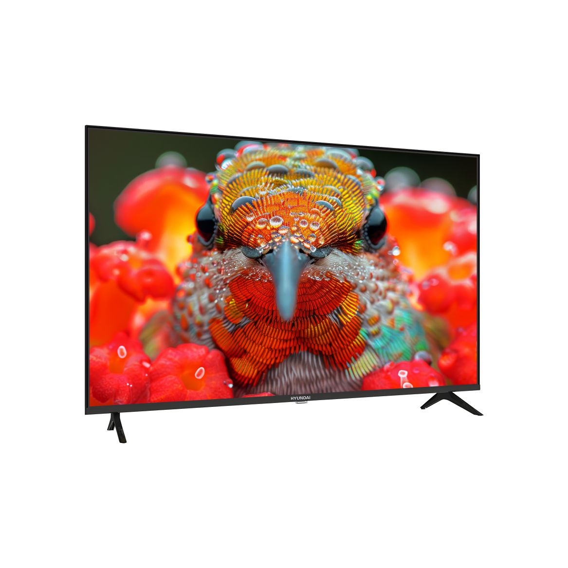 BOLLD Smart TV | Android 14 & Google Support | Explore Entertainment with BOLLD